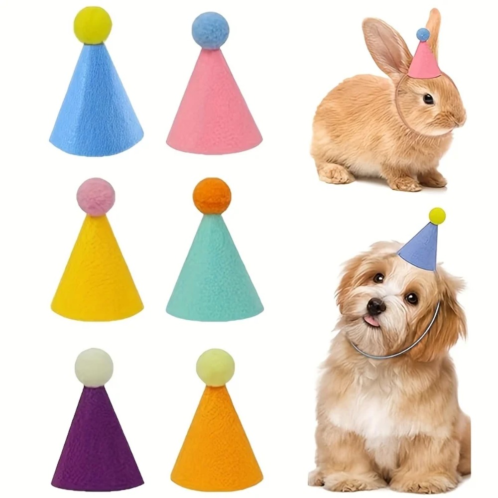 หมวกปาร์ตี้ขนาดเล็ก 6 ชิ้น: หม - Party Hat Cone บทวิจารณ์และราคา